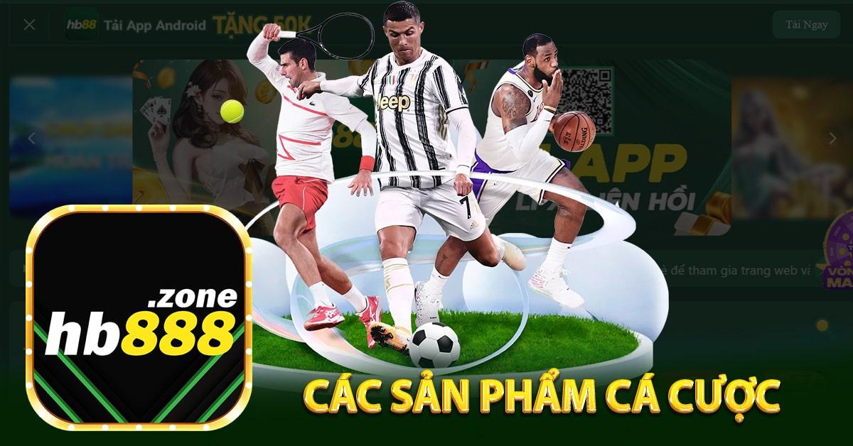 Khám phá tin tức mới nhất về the thao bao moi và xu hướng nổi bật trong giới the thao bao moi