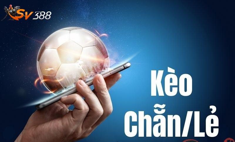 Khám phá trải nghiệm thú vị cùng 5 Reel Drive và các tính năng hấp dẫn trên 5 Reel Drive