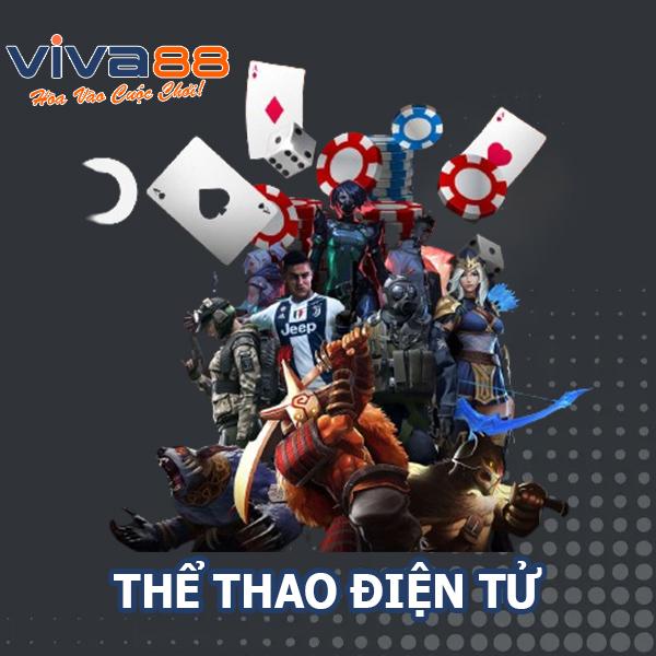 Khám phá cách chơi bầu cua tôm cá cực hấp dẫn cùng mẹo thắng lớn