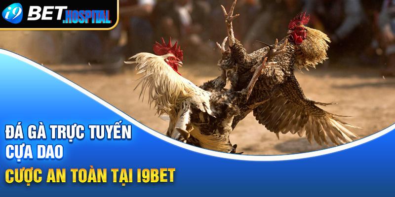 Du doan ma cao hôm nay cập nhật kết quả du doan ma cao mới nhất